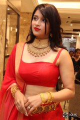 Mannara Chopra at Manepally Jewellers Uncut Diamond Mela Launch